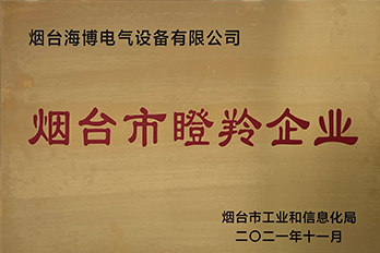 恭喜海博電氣成功獲評(píng)2021年度煙臺(tái)市瞪羚企業(yè)